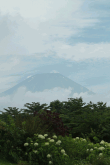 富士山