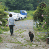 朝霧に撮影行ってきました♪