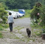 朝霧に撮影行ってきました♪