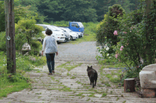 犬のはなちゃん