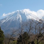 2016年も、よろしくお願いいたします♪